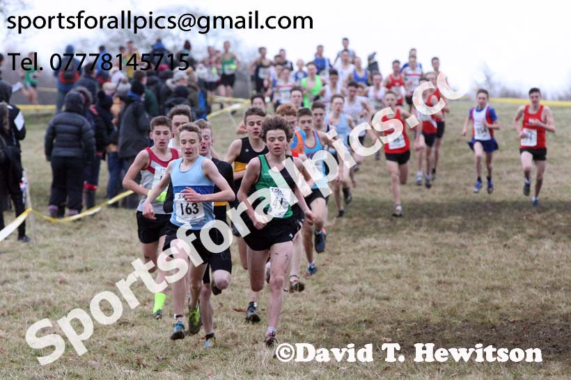 Boys under-15s, 2018 Northern Cross Country Champs., Harewood House, Leeds. Photo: David T. Hewitson/Sports for All Pics